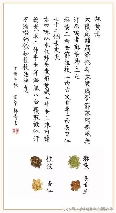 麻黃湯證|麻黃湯:歌訣,組成,用量,用法,功用,主治,方義,配伍特點,運用,加減化。